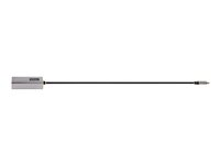 StarTech.com USB-C to Ethernet Adapter, 10/100/1000 Mbps, Gigabit Network Adapter w/ ASIX AX88179A Chip, 1ft/30cm Cable, USB Type C to RJ45 Ethernet Dongle, USB C to LAN Adapter, Windows/macOS/Linux/ChromeOS (US1GC30B2) - Nettverksadapter - USB-C - Gigabit Ethernet x 1 - grå US1GC30B2