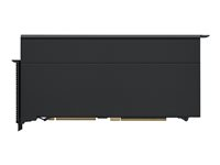 Apple Radeon Pro W6800X Duo MPX Module - Grafikkort - 2 GPU'er - Radeon Pro W6800X Duo - 64 GB GDDR6 - Infinity Fabric Link - HDMI, USB-C - for Mac Pro (I slutten av 2019) MJ093ZM/A