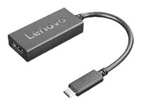 Lenovo - Video adapter - 24 pin USB-C hann til HDMI hunn - 24 cm - svart - støtte for 4K 60 Hz (3840 x 2160) 4X90R61022