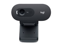 Logitech C505e - Nettkamera - farge - 720p - fastfokal - lyd - USB 960-001372