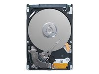 Dell - Harddisk - 1 TB - hot-swap - 3.5" - SATA 6Gb/s - 7200 rpm - for PowerEdge C6420 (3.5") 400-ATJJ