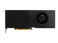 NVIDIA RTX A5000 - Grafikkort - RTX A5000 - 24 GB GDDR6 - PCIe 4.0 x16 lav profil - 4 x DisplayPort - for Workstation Z4 G4, Z4 G5, Z6 G4, Z6 G5, Z8 G4, Z8 G5; ZCentral 4R 20X23AA