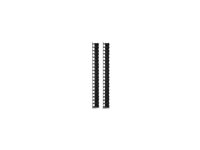 APC - Rackkabelstyringspanel - svart - 42U - TAA-samsvar (en pakke 2) - for P/N: AR9300SP, AR9300SP-R, SMX3000HVTUS, SMX3000LVUS, SRT1000RMXLI, SRT1000RMXLI-NC AR7721