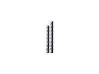 APC - Rackkabelstyringspanel - svart - 45U - TAA-samsvar (en pakke 2) - for P/N: NBPD0160A, NBWL0355A, NBWL0356A, SMX3000HV-BR, SRT1000RMXLI, SRT1500RMXLA-NC AR7722