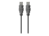 Belkin - USB-kabel - USB (hann) til USB (hann) - USB 2.0 - 1.8 m F3U131BT1.8M