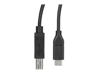 StarTech.com USB C to USB B Printer Cable - 1.6 ft / 0.5m - USB C Printer Cable - USB C to USB B Cable - USB Type C to Type B (USB2CB50CM) - USB-kabel - 24 pin USB-C (hann) til USB-type B (hann) - Thunderbolt 3 / USB 2.0 - 50 cm - svart USB2CB50CM