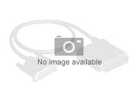 Broadcom - SAS intern kabel - Slim SAS (SFF-8654) (hann) til Mini SAS HD (SFF-8643) - 1 m 05-60003-00